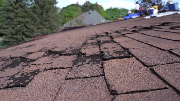 Best Wood Shake Roofing  in Lake Wynonah, PA