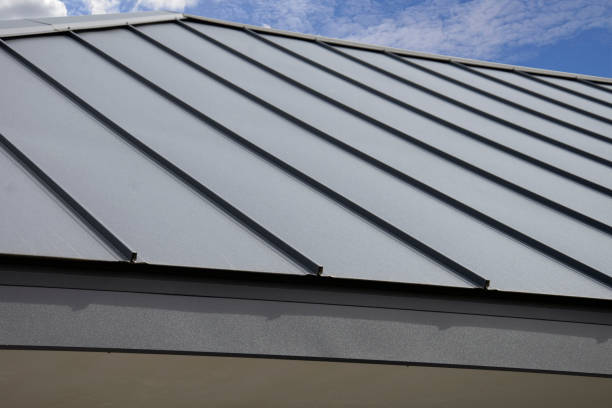Best Roof Maintenance and Cleaning  in Lake Wynonah, PA