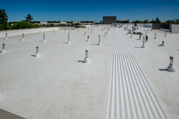 Best Metal Roofing Installation  in Lake Wynonah, PA